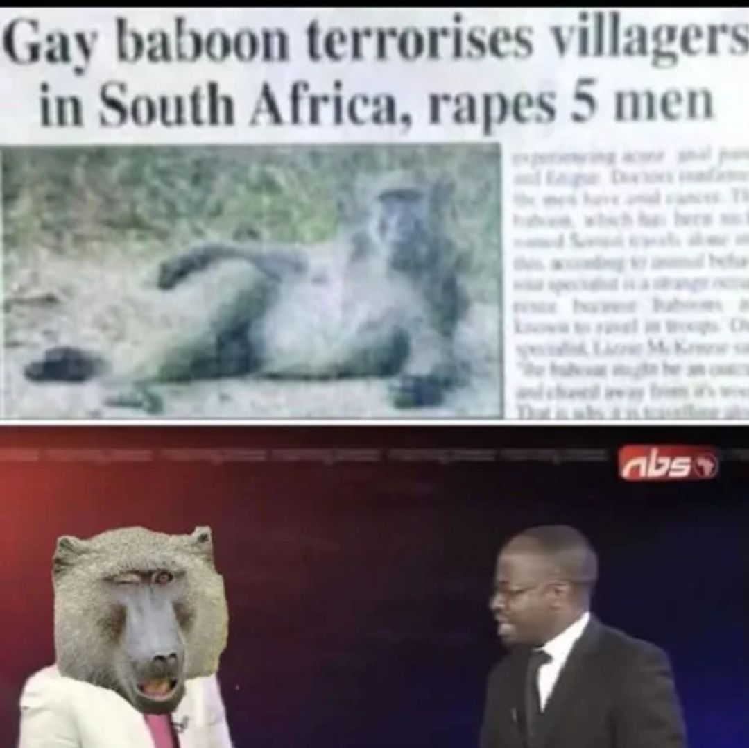 Gay baboon terrorises villagers in South Africa, rapes men