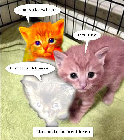a Brightness 2% the colors brothers