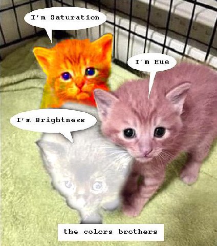 a Brightness 2% the colors brothers