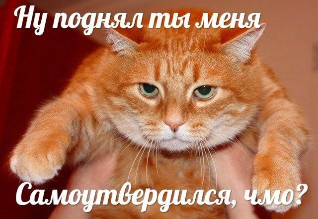 поднял ты меня a