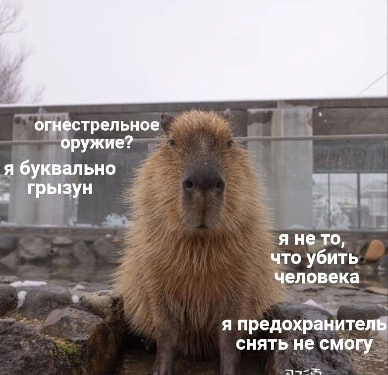 я буквально грызун Wap я нето, что убить человека я предохранителв снять не смогу