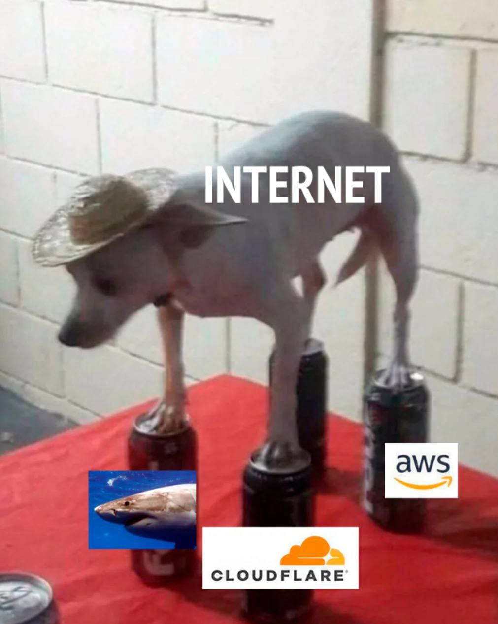ERNET aws