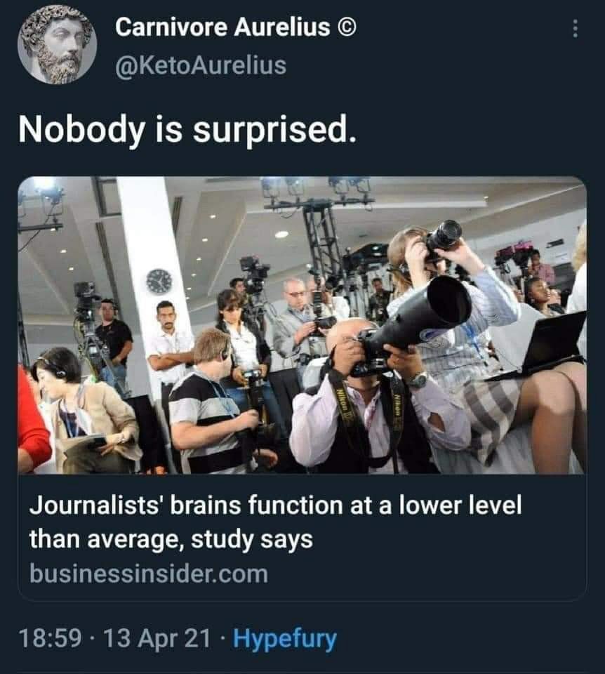 Carnivore Aurelius Nobody is surprised. AN a Чоигпай${$' brains function at a lower level than average, study says
