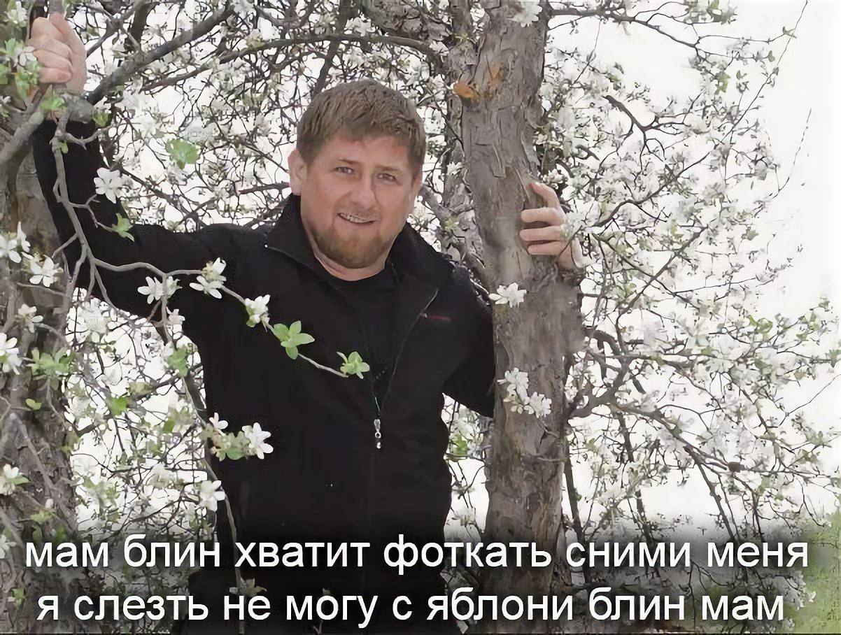 4 A “he А блин хватит фоткать СНИМИ меня ‘слезть не могу с яблони блин мам