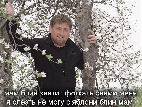 4 A “he А блин хватит фоткать СНИМИ меня ‘слезть не могу с яблони блин мам