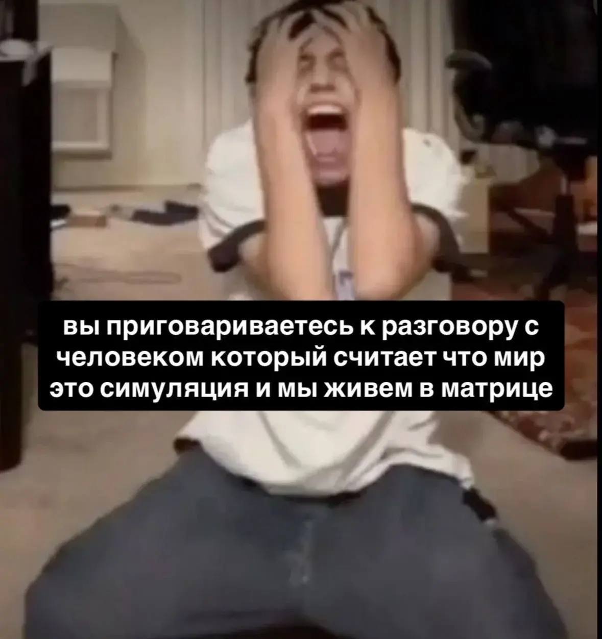 вы приговариваетесь к разговору с человеком который считает что мир это симуляция и мы живем в матрице