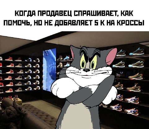 КОГДА ПРОДАВЕЦ СПРАШИВАЕТ, КАК ПОМОЧЬ, НО НЕ ДОБАВЛЯЕТ 5 К НА КРОССЫ watt ant: A