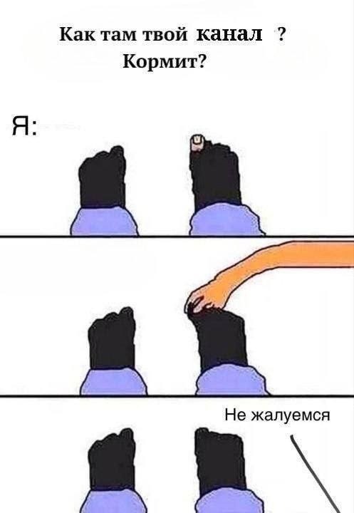 Как там твой канал Кормит? Не жалуемся