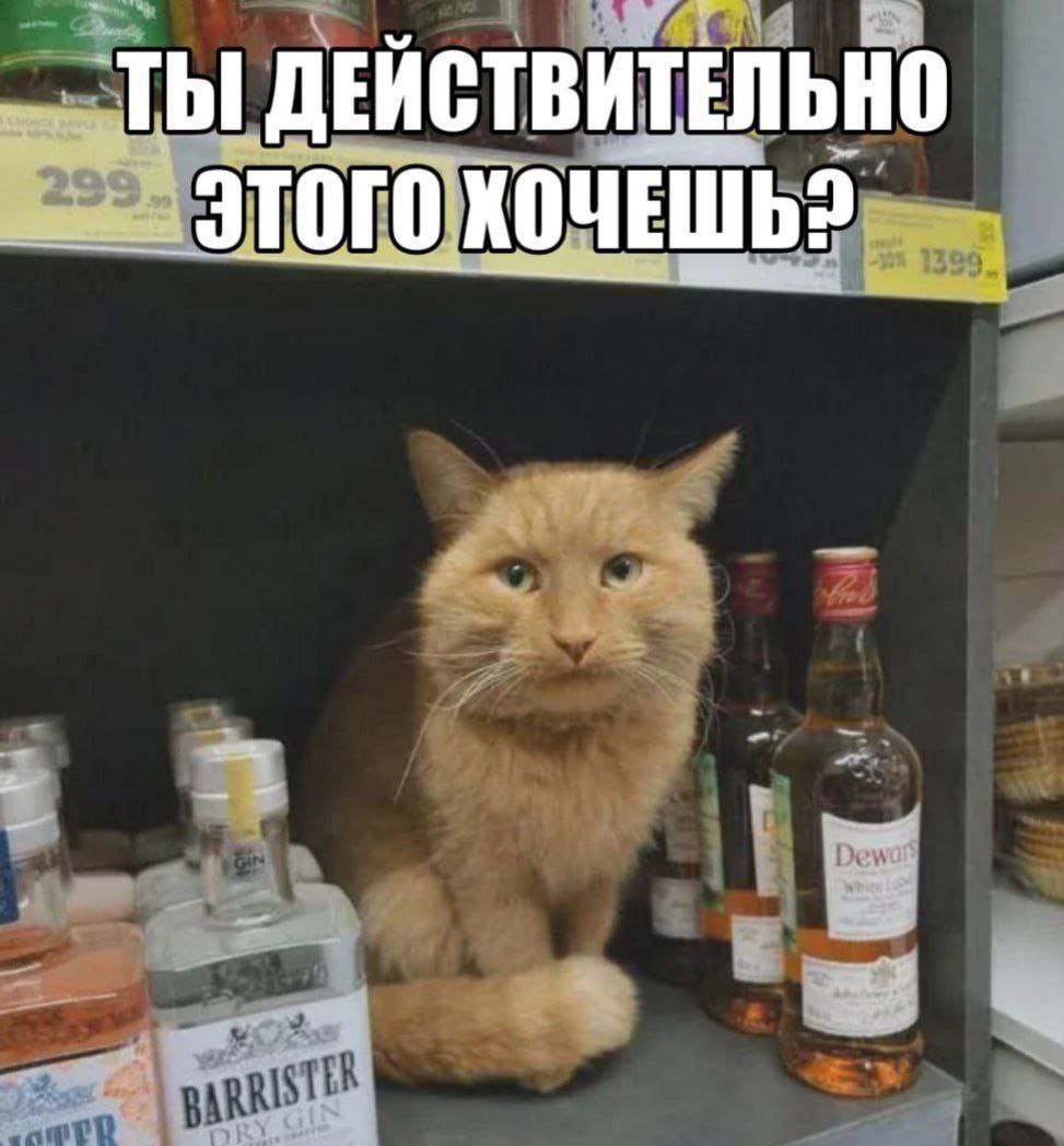 ТЫ ДЕЙСТВИТЕЛЬНО ЭТОГО ХОЧЕШЬ?