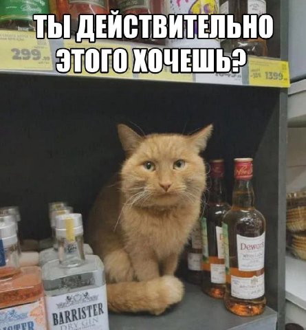 ТЫ ДЕЙСТВИТЕЛЬНО ЭТОГО ХОЧЕШЬ?