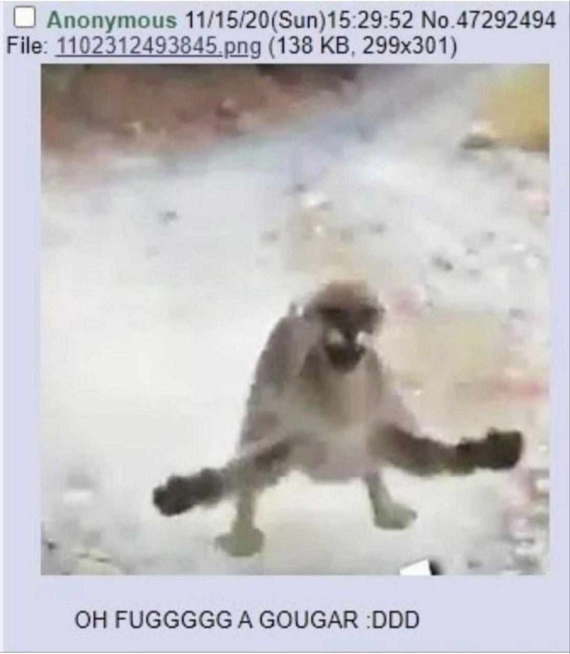 Anonymous 11/15/20(Sun)15:29:52 No.47292494 File: 1102312493845.png (138 К. в. FUGGGGG А GOUGAR :DDD