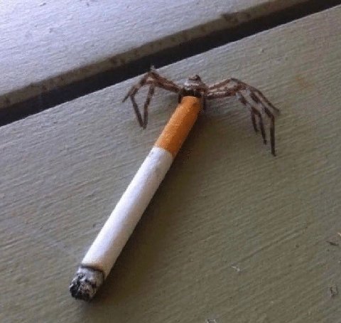 А 4 у 4 [2 27 1 4 “me и 4 a of у