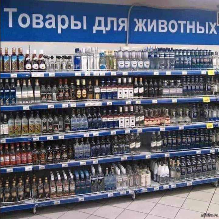 говары дия животных К