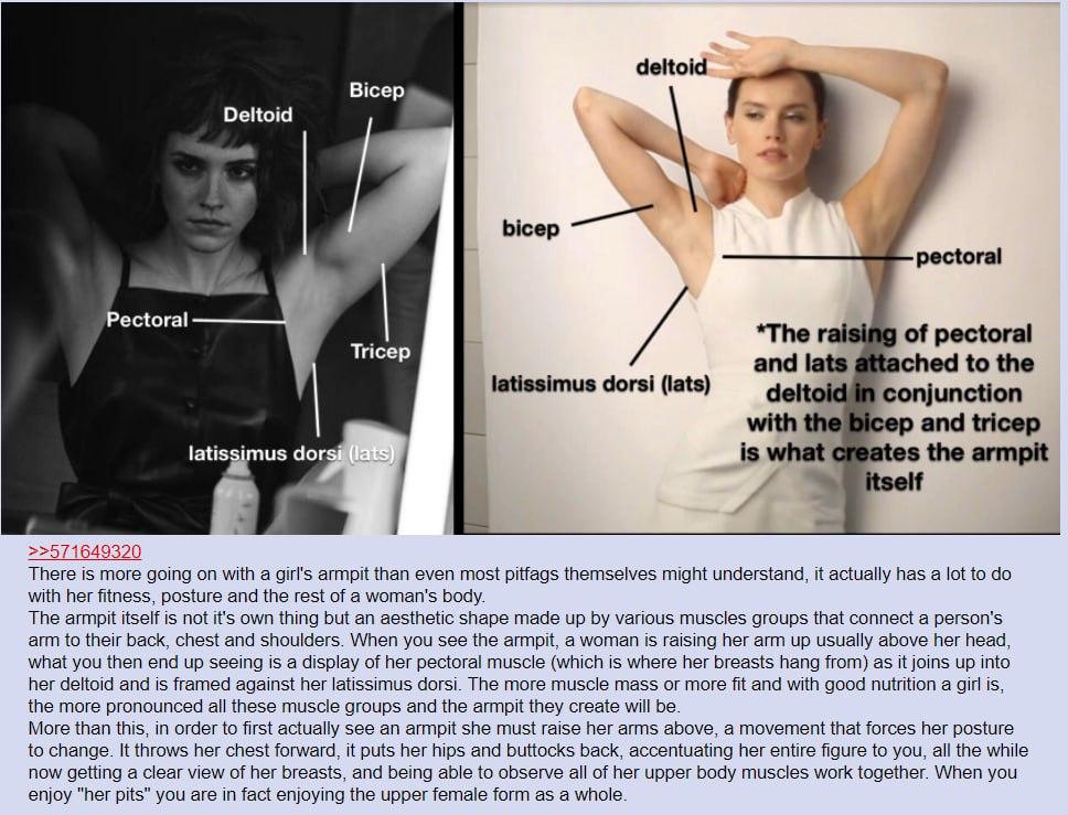 deltoid Deltoid Ысер pectoral Рес{ога! *The raising of pectoral and lats attached to the latissimus dorsi (lats) deltoid conjunction with cep and tricep dors is what creates the armpit >>571649320 The