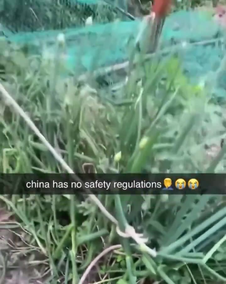 china has по safety regulations ® ® ®