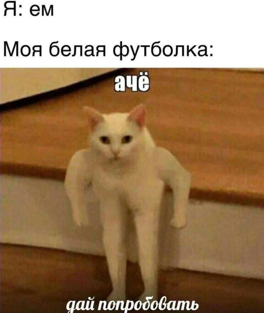 Я: Моя белая футболка: ачё дай попробовать