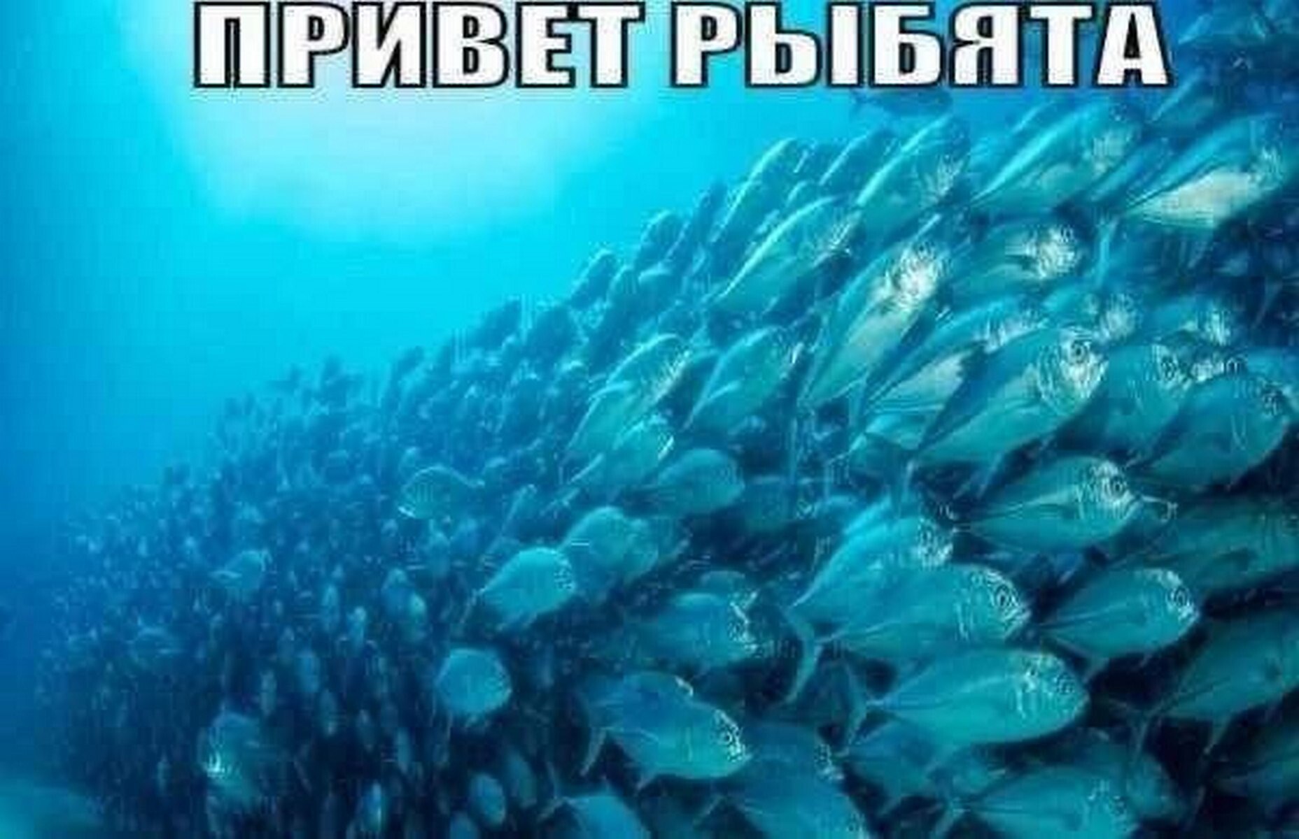 Я
