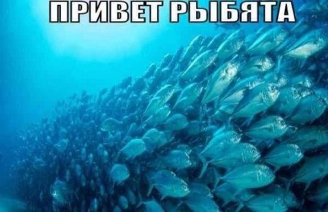 Я