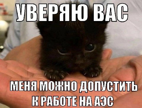 УВЕРЯЮ BAC_ МЕНЯ МОЖНО ДОПУСТИТЬ К АЗС