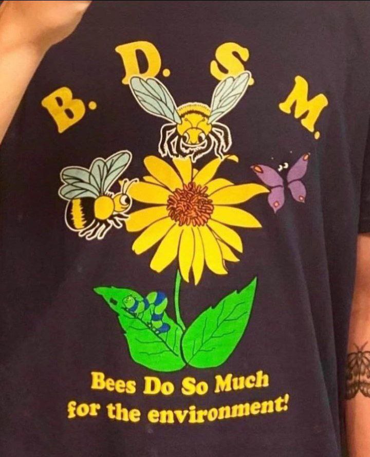Bees So Much for the
