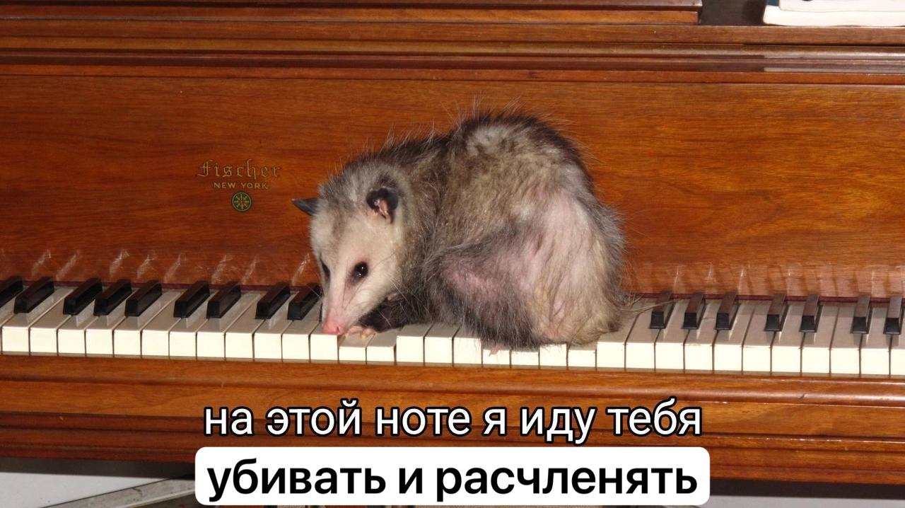 на этой ноте я иду тебя Убивать и расчленять