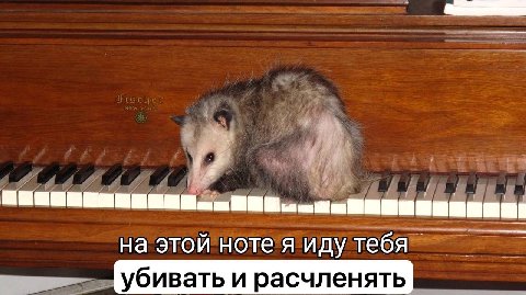 на этой ноте я иду тебя Убивать и расчленять