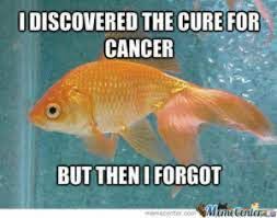 DISCOVERED THE CURE FOR CANCER