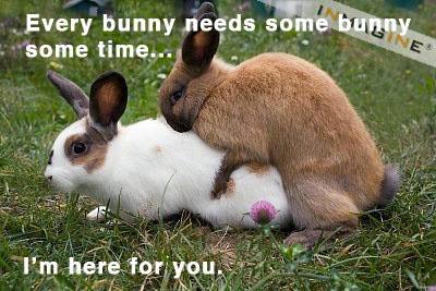 Every bunny needs some some time.. here for: you