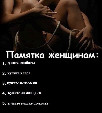 Памятка женщинам: 1. купите колбасы 2. купите хлеба 3. купите пельмени 4. купите лимонадик 5. купите кошке пожрать