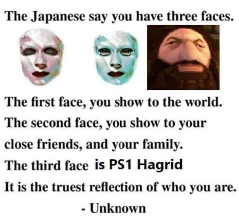 The Japanese say you have three faces. в The first face, you show to the world. The second face, you show to your close friends, and your family. The third face is Hagrid It is the truest reflection o