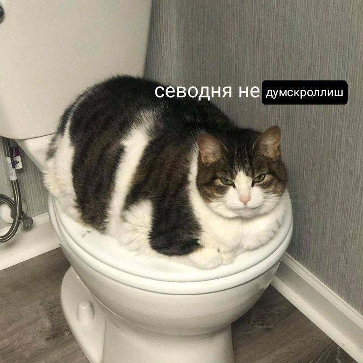 севодня HE думскроллиш