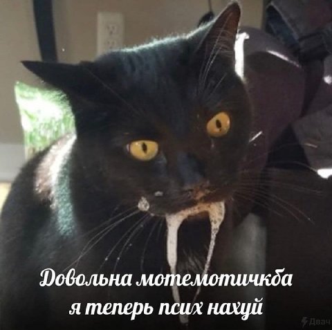Фобольна мотемотичкба я теперь псих нахуй