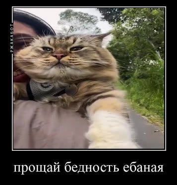 прощай бедность ебаная