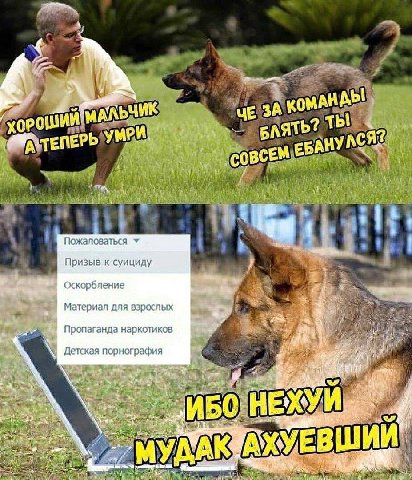 АКО МАНВЬ УМРИ, Пожаловаться Призыв к суициду Оскорбление Материал для взрослых Пропаганда наркотиков Детская порнография 50-НЕХУИ АХУЕВШИЙ