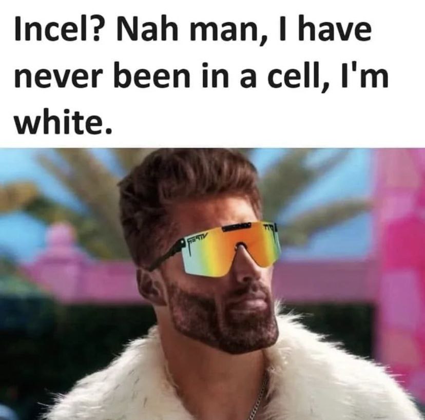 Incel? Nah man, I have never been in a cell, white.