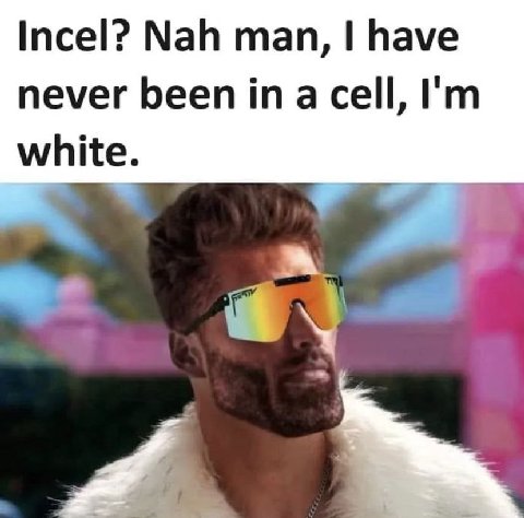 Incel? Nah man, I have never been in a cell, white.