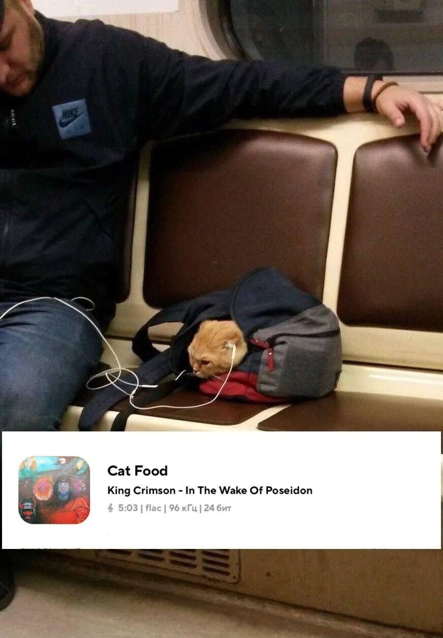 OC from a fren