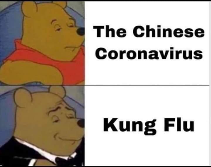 The Chinese Coronavirus Kung Flu