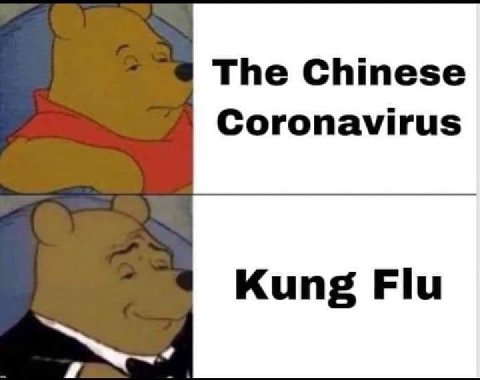 The Chinese Coronavirus Kung Flu