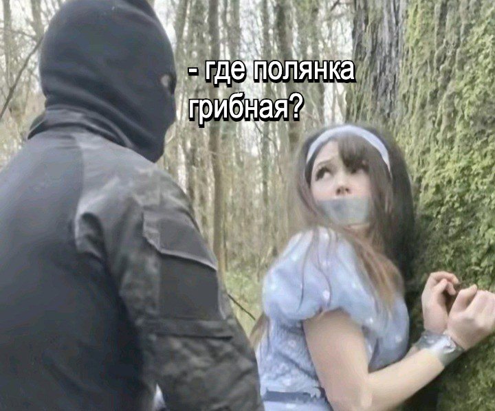 3 THE полянка у
