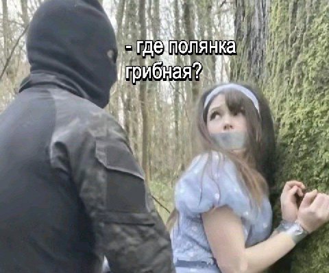 3 THE полянка у