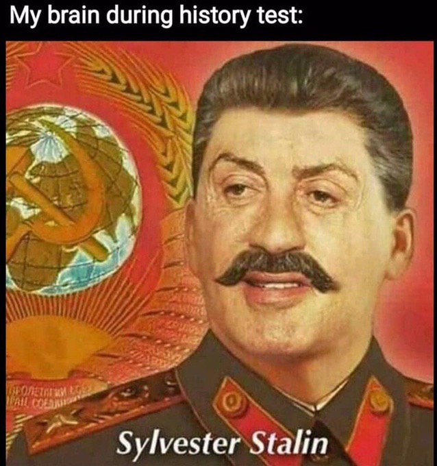 My brain during history test: Sylvester Stalin