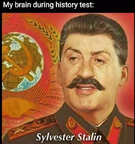 My brain during history test: Sylvester Stalin