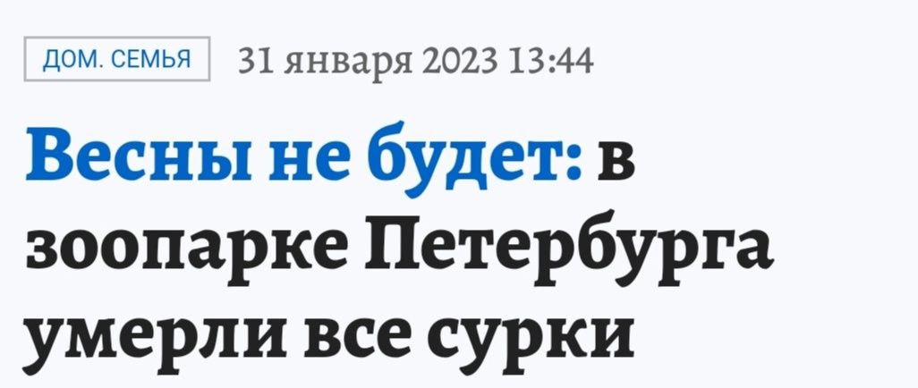 дом. семья 31 января 2023 13:44 Весны не будет: в зоопарке Петербурга умерли все сурки