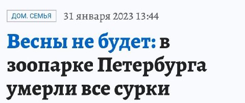 дом. семья 31 января 2023 13:44 Весны не будет: в зоопарке Петербурга умерли все сурки