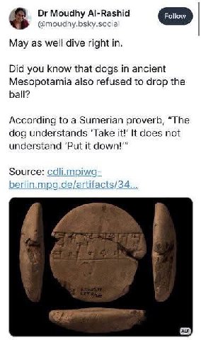 Moudhy Al-Rashid @moudhy.bsky.social May as well dive right in. Did you know that dogs in ancient Mesopotamia also refused to drop the ball? According to a Sumerian proverb, “The dog understands ‘Take