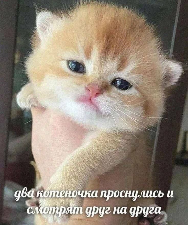 доброе утро..