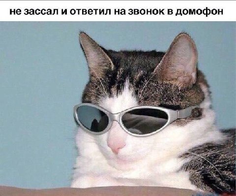не зассал и ответил на звонок в домофон