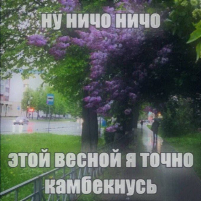 НИЧО my этой весной A ‘камбекнусь