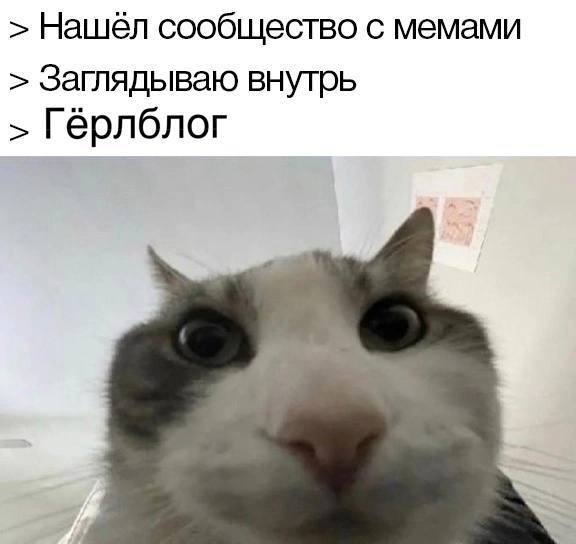 Нашёл сообщество с мемами Заглядываю внутрь